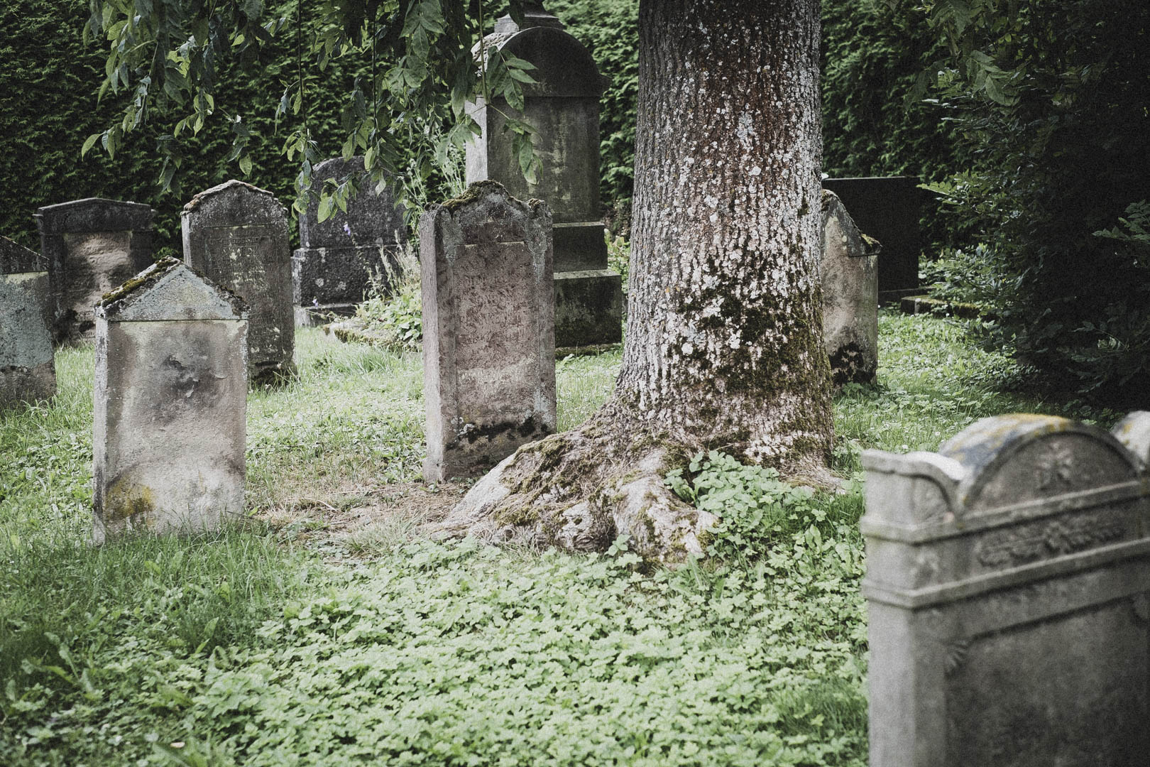 Barntrup, Jüdischer Friedhof